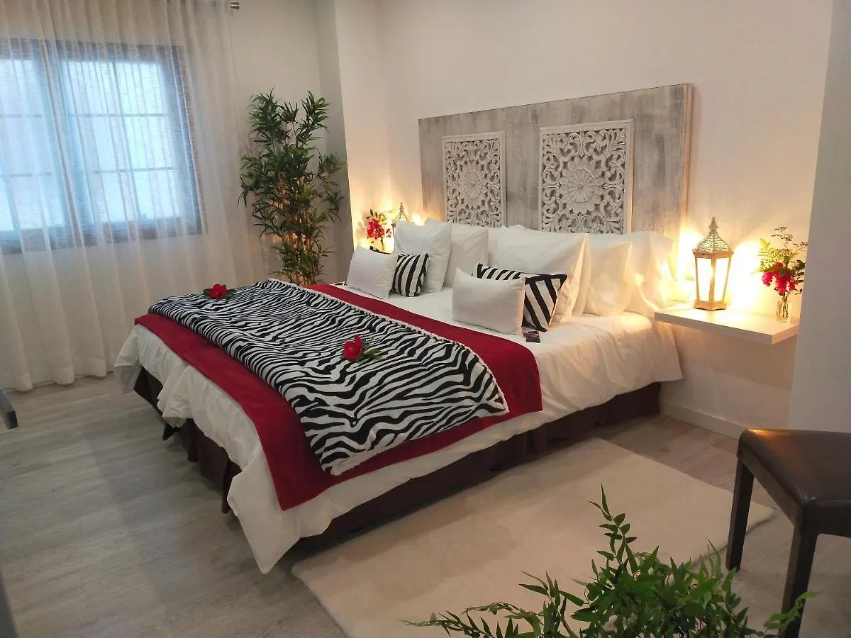 Room Plaza San Marcos Icod De Los Vinos