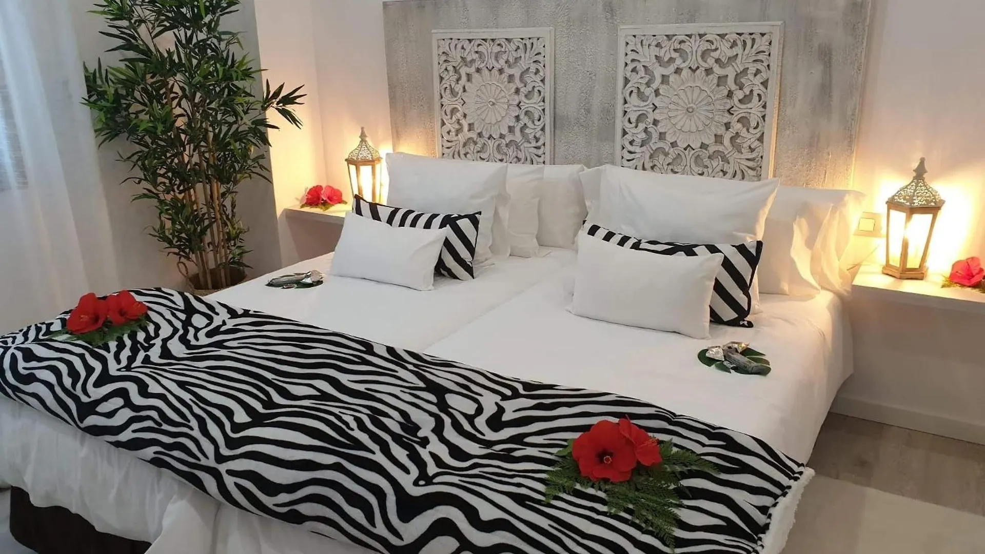 Room Plaza San Marcos Icod De Los Vinos Apartamento