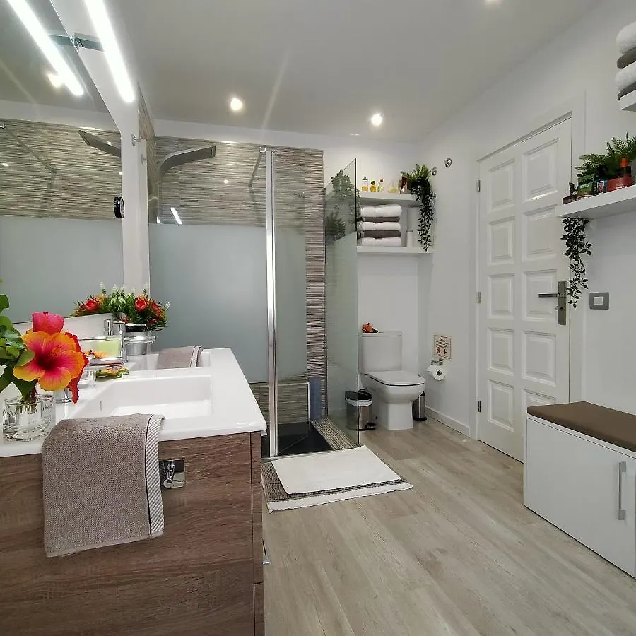 Apartmán Room Plaza San Marcos Icod De Los Vinos Španělsko